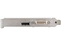 WinFast 210 PCI-Ex1 Low Profile [PCIExp 512MB �o���N]