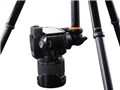 Nivelo 245BK [�u���b�N]