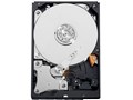 WD5000AZDX [500GB SATA600]