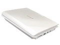 GAUDI GHV-PDV772STRW [�z���C�g]