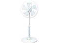 R30J-MN-G [�K���X]