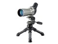 nCv[Y 550