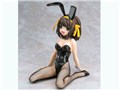 1/4 �y�{�n���q �o�j�[Ver.