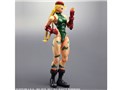 �v���C�A�[�c�� SUPER STREET FIGHTER IV Cammy
