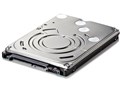HD-IN1.0TS [1TB 9.5mm]