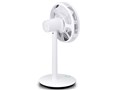 GreenFan mini EGF-2000-WK [�z���C�gx�u���b�N]