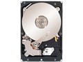 ST32000645NS [2TB SATA600 7200]