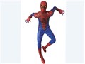 ���A���A�N�V�����q�[���[�Y No.591 THE AMAZING SPIDER-MAN
