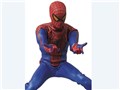 ���A���A�N�V�����q�[���[�Y No.591 THE AMAZING SPIDER-MAN