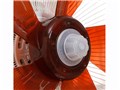 EFA-31-W/T [�z���C�g/�u���E��]