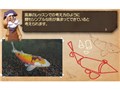 �V �G�S���� [3DS]