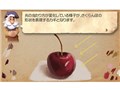 �V �G�S���� [3DS]