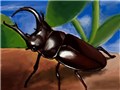�V �G�S���� [3DS]