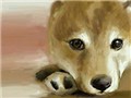 �V �G�S���� [3DS]