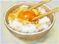 �V �G�S���� [3DS]