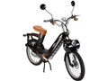 e-solex