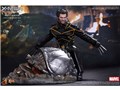 ���[�r�[�E�}�X�^�[�s�[�X #187 X-MEN�F�t�@�C�i�� �f�B�V�W���� 1/6�X�P�[���t�B�M���A �E�����@����