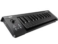 microKEY-25BKBK [Black x Black]