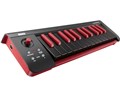 microKEY-25BKRD [Black x Red]