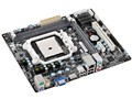 A55F2-M3 (V1.0)