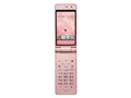 w{ J ʁx docomo STYLE series P-01E [sNS[h]̐i摜
