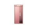 w{  ʁx docomo STYLE series P-01E [sNS[h]̐i摜