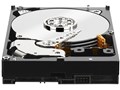 WD4000FYYZ [4TB SATA600 7200]