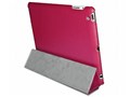 IPAD2ZETAPNK [�s���N]