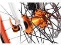 DOPPELGANGER d19 Road Pulse [�J���[�E�I�u�E�h�b�y���M�����K�[]