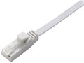 LD-GFT/WH20 [2m �z���C�g]