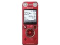 ICD-SX1000 (R) [bh]