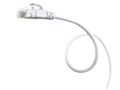 LA-SL6-01W [1m �z���C�g]