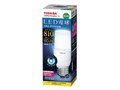 E-CORE LDT7N-G/S [�����F]