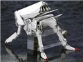 1/100 �V�h�j�A�̋R�m �ꎵ���q�l ������ �p�q