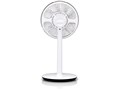 GreenFan mini �R�[�h���X���f�� EGF-2150-WK [�z���C�gx�u���b�N]