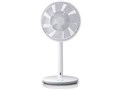 GreenFan mini �R�[�h���X���f�� EGF-2150-WG [�z���C�gx�O���[]