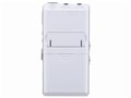 �{�C�X�g���b�N DP-301 WHT [�z���C�g]