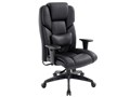 PREMIUM EX-21 Buffelhaut [�u���b�N]