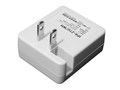 IPA-21U/WH [�z���C�g]