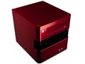 acubic G20 ACE-G20-REK [�V���C�j�[���b�h]