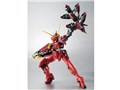 ROBOT�� <SIDE MS> �@����m�K���_��SEED DESTINY ASTRAY �e�X�^�����g�K���_��