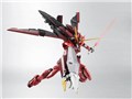 ROBOT�� <SIDE MS> �@����m�K���_��SEED DESTINY ASTRAY �e�X�^�����g�K���_��