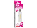 PFU-XS3S/32GW [32GB �z���C�g]