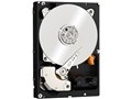 WD2001FYYG [2TB SAS600 7200]