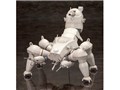1/35 �U�k�@����STAND ALONE COMPLEX ���r��� ���H�d�H HAW206 �����ver.