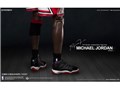���A���}�X�^�[�s�[�X �R���N�e�B�u���t�B�M���A 1/6 NBA�N���V�b�N�R���N�V���� �}�C�P���E�W���[�_�� I'm Legend #23 �z�[���E���j�t�H�[��