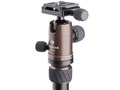 BAIBIAN F225 E-2105 [�u���E��]