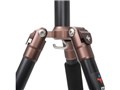 BAIBIAN F225 E-2105 [�u���E��]