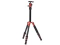 BAIBIAN F225 E-2106 [���b�h]