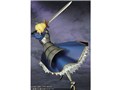 Fate/stay night �Z�C�o�[